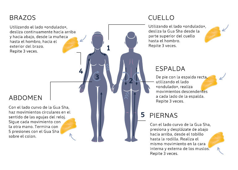 Masaje gua sha corporal deals